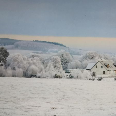 Hillhaven Bed &Breakfast Bed & Breakfast Fortrose Eksteriør bilde