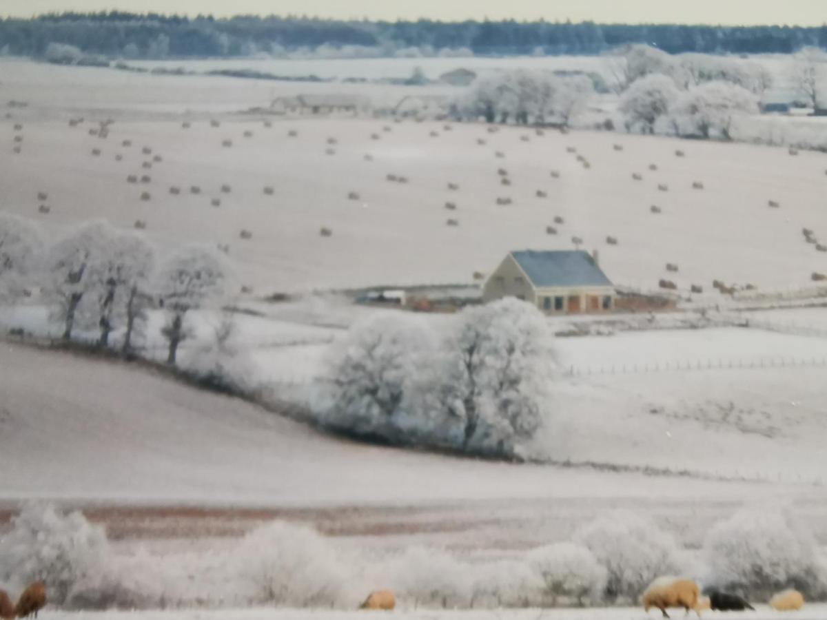 Hillhaven Bed &Breakfast Bed & Breakfast Fortrose Eksteriør bilde